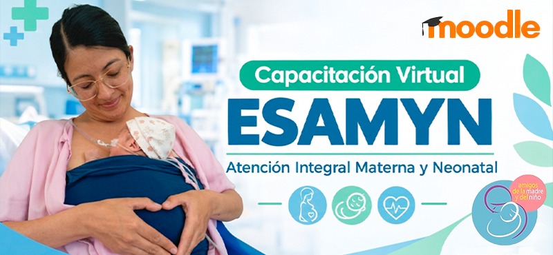 Capacitaciones Virtuales